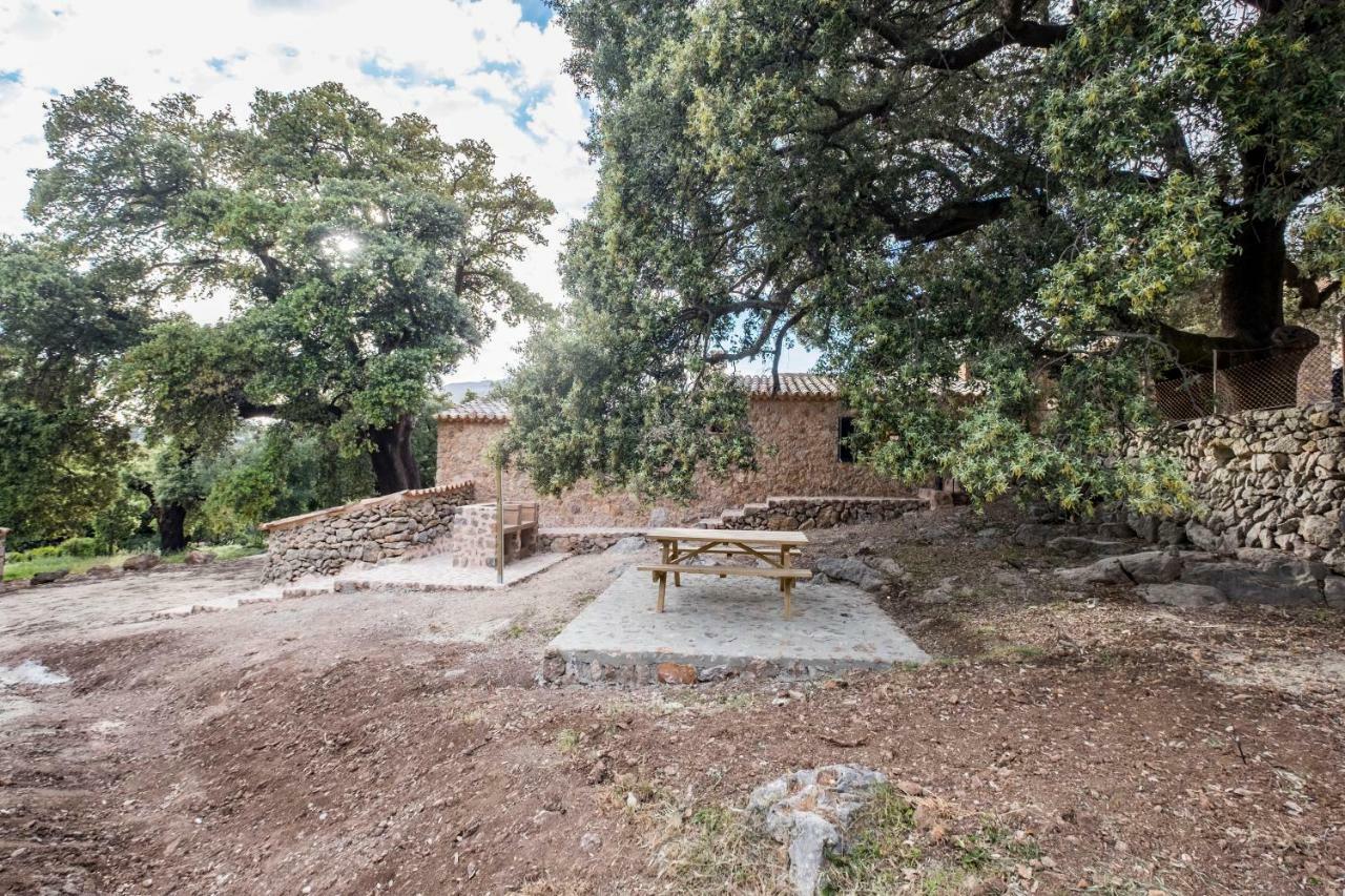 Agroturismo Son Alzines Lluc Esterno foto