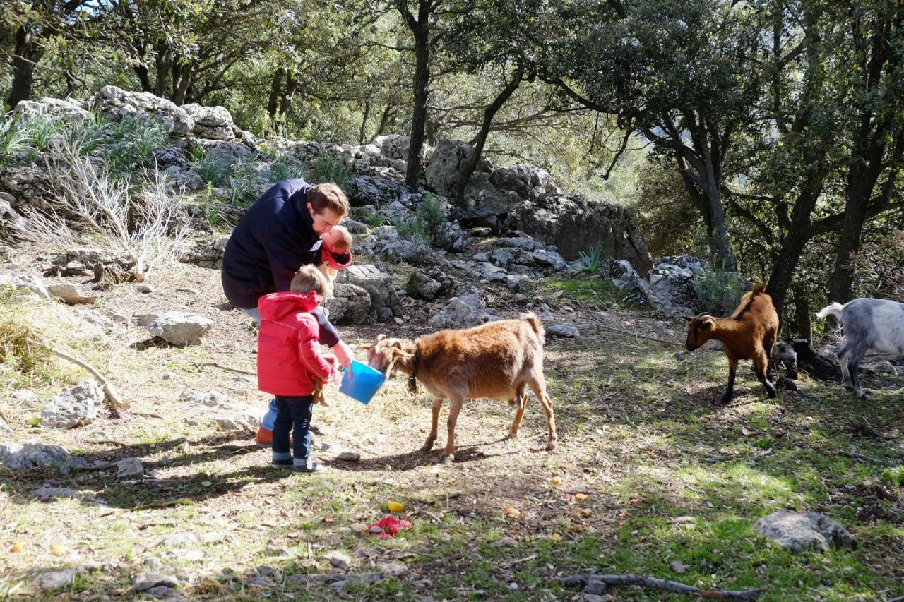 Agroturismo Son Alzines Lluc Esterno foto