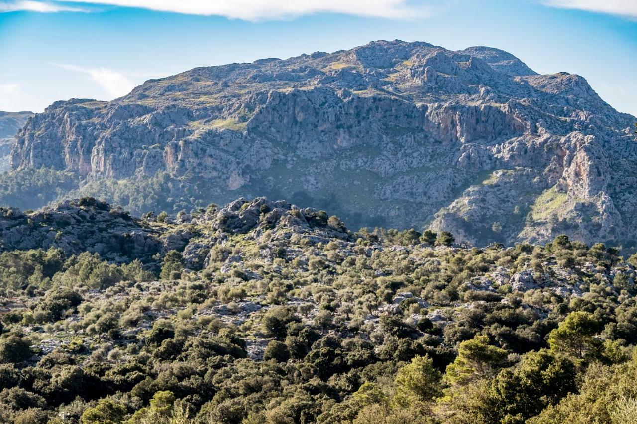 Agroturismo Son Alzines Lluc Esterno foto