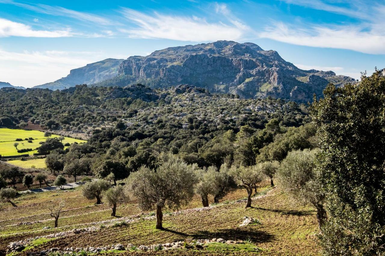 Agroturismo Son Alzines Lluc Esterno foto