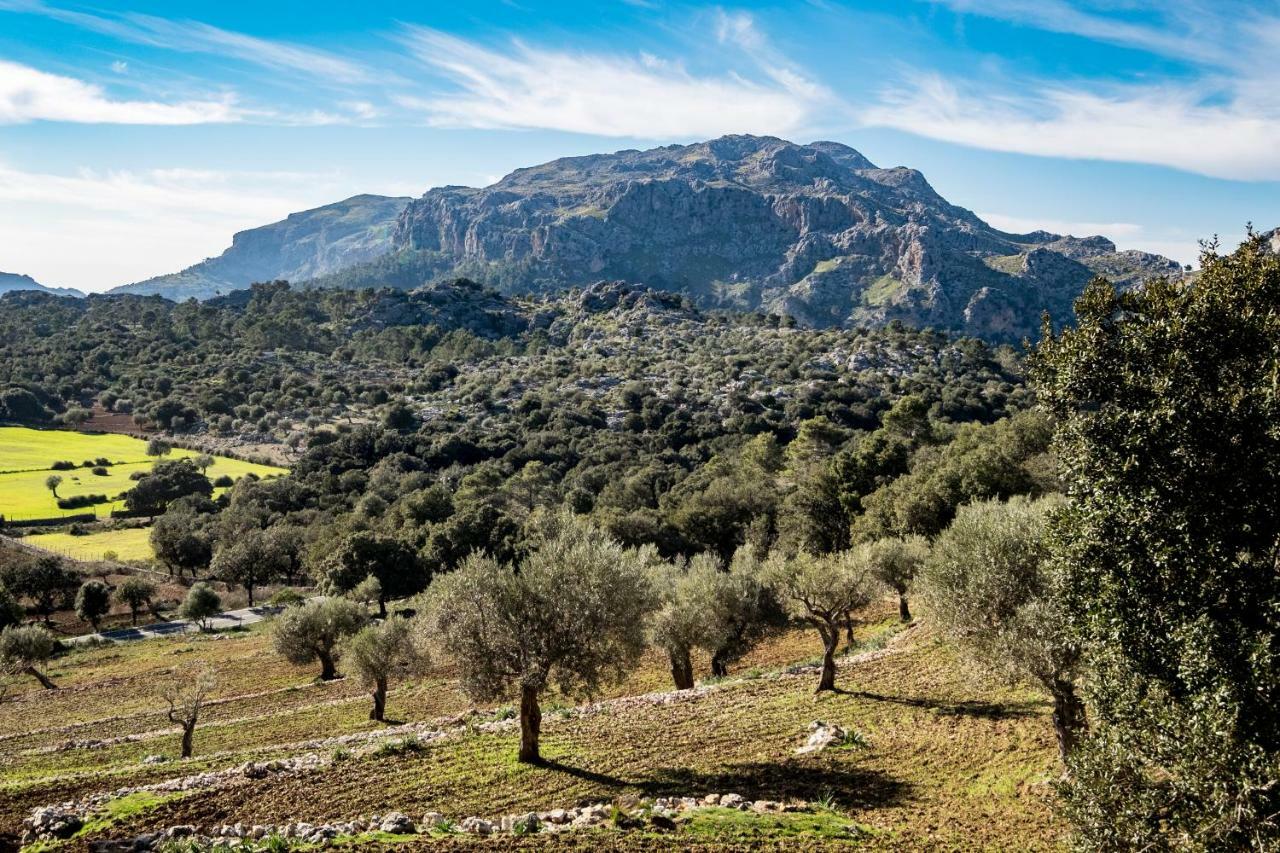 Agroturismo Son Alzines Villa Lluc Esterno foto