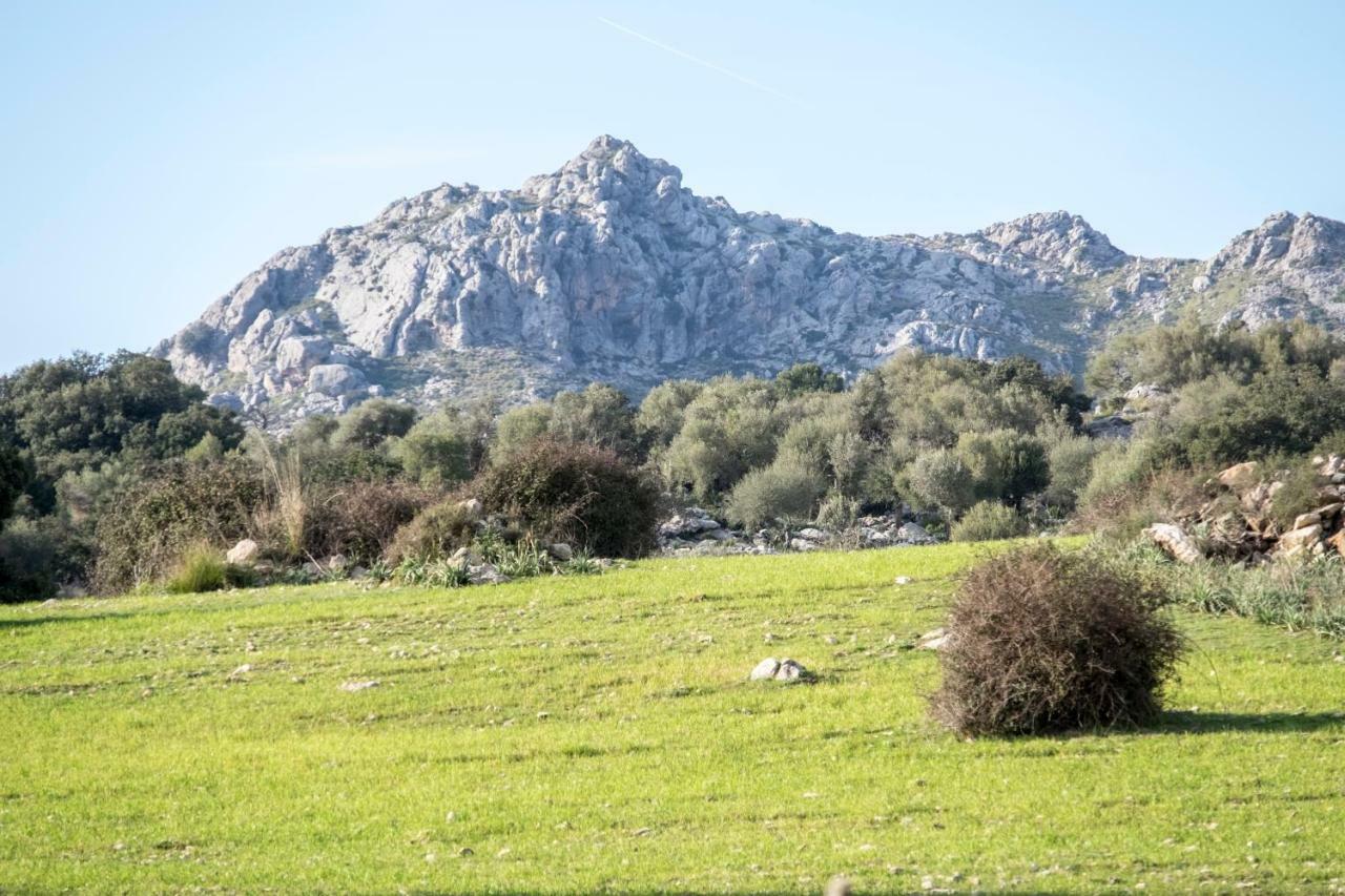 Agroturismo Son Alzines Lluc Esterno foto